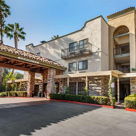 Comfort Inn & Suites Orange County John Wayne Airport Santa Ana Exteriör bild